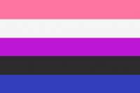 genderfluid_flagge.jpg